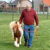 Van Gestel Jef foto